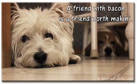 Pierre Westie & Bentley Basset Hound meme "A friend with bacon is a friend worth makin'."
