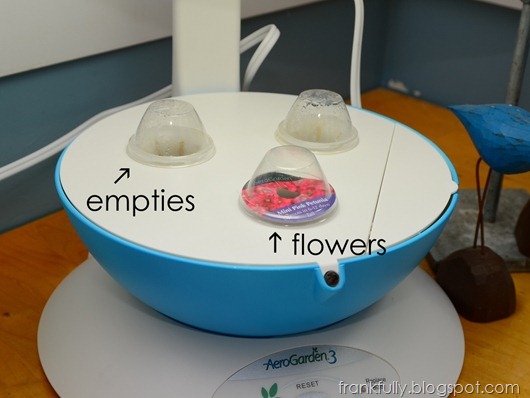 starting 1 pod of flowers in the AeroGarden, 3/11/13