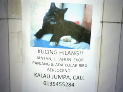 Siapa milik kita?: Kucing Hilang