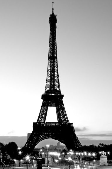 Eiffel Tower 2010 in Black and White - Paris