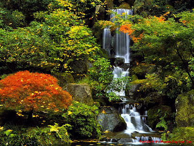 Beauty of Japan Wallpapers
