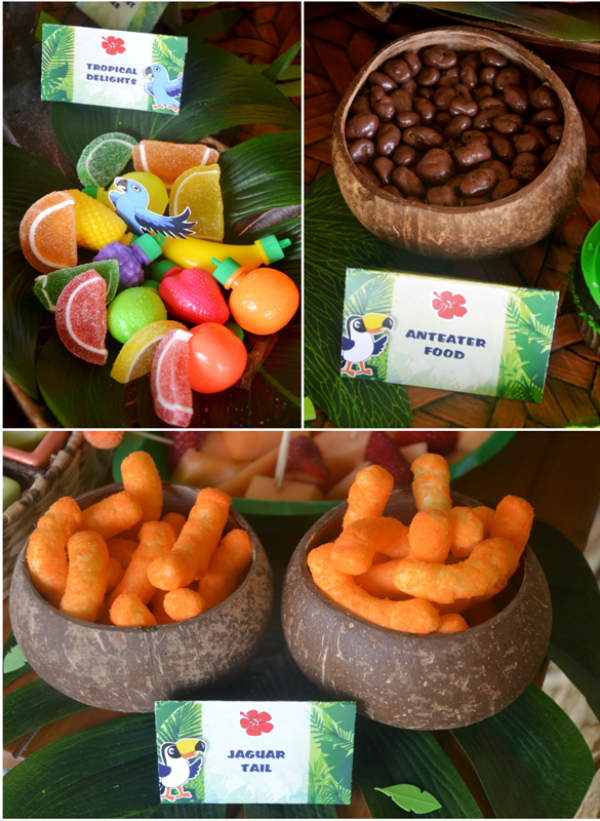 Rio 2 Movie  Inspired Birthday  Party  Party  Ideas  Party  