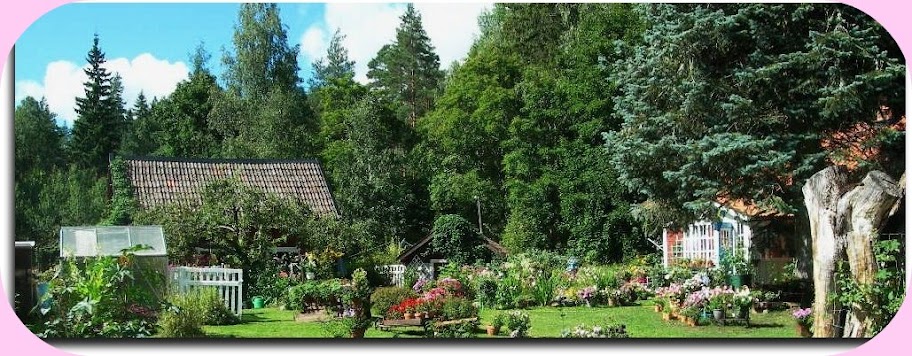 Mitt eget lilla paradis på jorden
