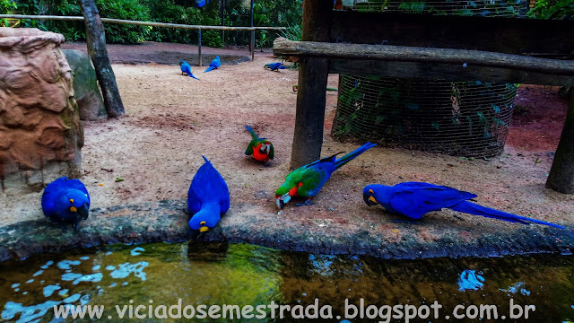 Foz do Iguaçu, PR