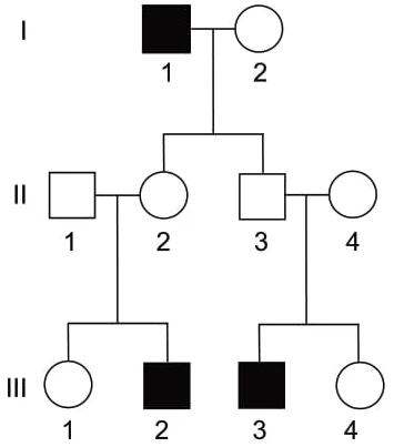 A hemofilia A é uma doença recessiva ligada ao sexo. A genealogia a seguir ilustra uma família em que os indivíduos destacados apresentam hemofilia A.