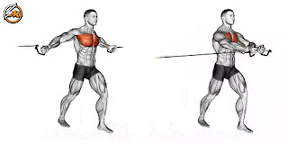 10 Best Muscle-Building Isolation Exercises