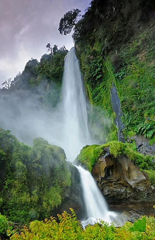 Villarrica National Park, Chile