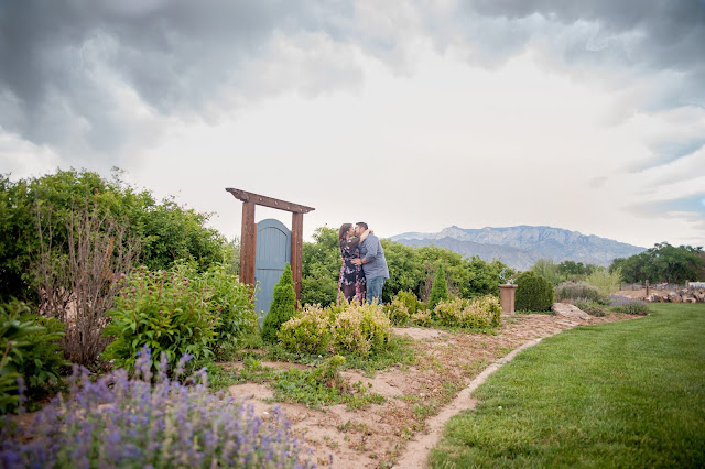 albuquerque engagement session, engagement session in albuquerque, winery engagement session, corrales winery, corrales engagement, maura jane photography, wedding photographers in albuquerque, wedding photographers in new mexico, albuquerque wedding photographer