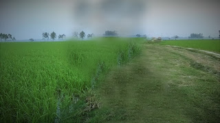 ছবি