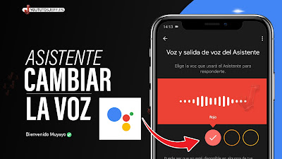 cambiar voz del asistente de google