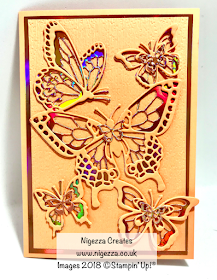 Butterfly Card Using Stampin' Up! Free Foil
