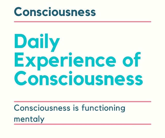 Experience consciousness functioning mentaly