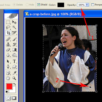 crop in Photoshop