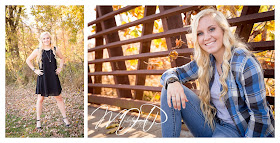 senior, senior portrait photographer, Floyd Central, Floyd County, Indiana Senior Photographer, high school senior, 2015, 