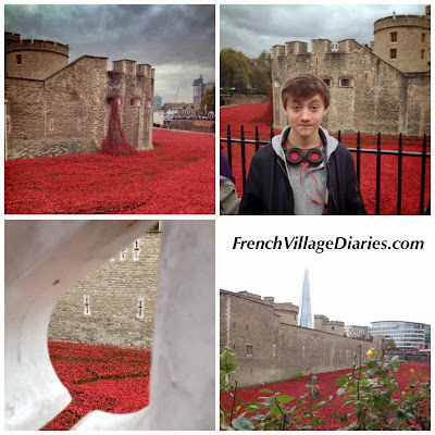 French Village Diaries The Tower of London Remembers 2014 TowerPoppies First World War