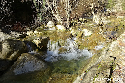 Ruta circular al Martanyà passant per sant Aniol d'Aguja i Talaixà