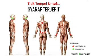 Herbal Center Ads | Titik Tempel Koyo Turki Untuk Syaraf Terjepit