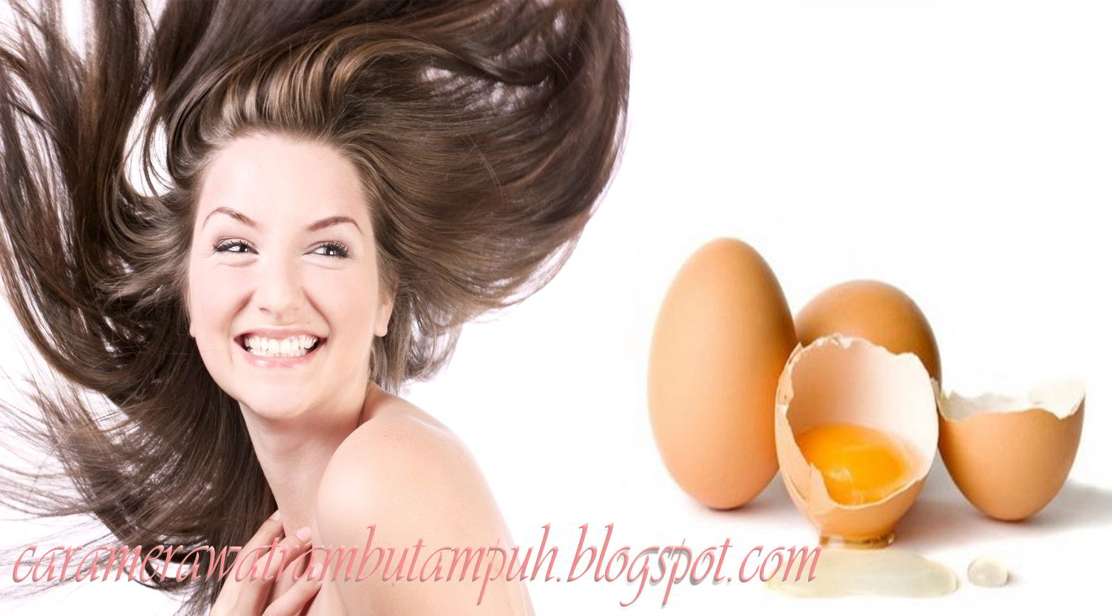 Manfaat Telur Untuk Mengatasi Rambut Rontok Tips Cara Merawat