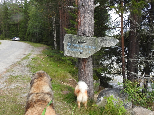 hyttetur vassfaret Aurdalsfjorden Vassfarstien