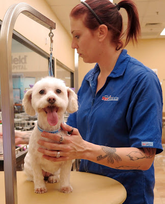 Making appointments for #PetSmartGrooming so easy & flexible #ad