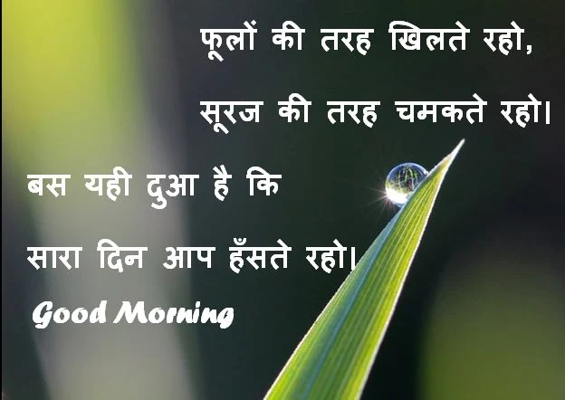 Good Morning Status Download, Good Morning Status Image