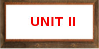 UNIT II