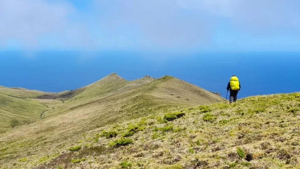 Gough Island: Employee looked for for among world's remotest places