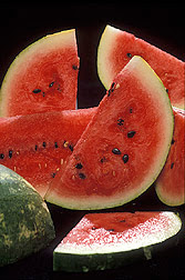 watermelon melon ethanol food fuel summer fruit