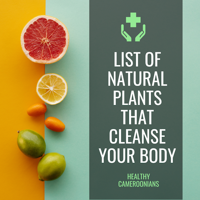 List of Natural plants that cleanse your body