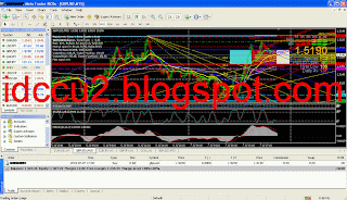 forex, july results