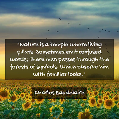 Nature is a temple where living pillars. Sometimes emit confused words; There man passes through the forests of symbols. Which observe him with familiar looks. - Charles Baudelaire
