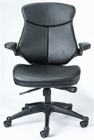 Wing Series Office Chair by Eurotech