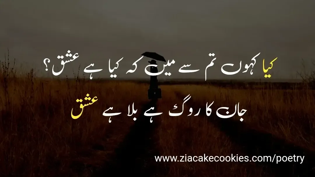 urdu shayari ishq, shayari in urdu text