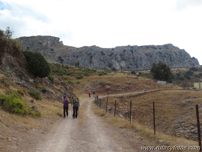 Area recreativa los Sauces - Peñón de Ronda