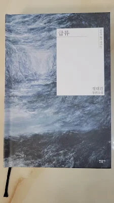 정대건 작가의 소설 급류의 표지 이미지