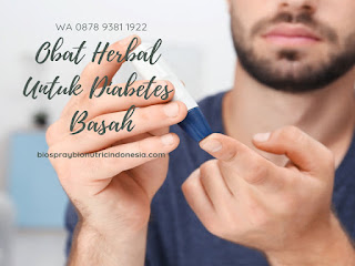 Obat Herbal Untuk Diabetes Basah | WA 0878 9381 1922