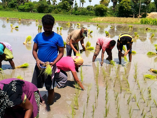  Ajuba launches ‘GRAM SEVA’, a unique CSR initiative addressing the alarming global concern on Food Wastage