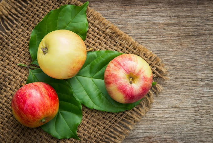 Can an apple a day really help keep the doctor away ? I Health Tips