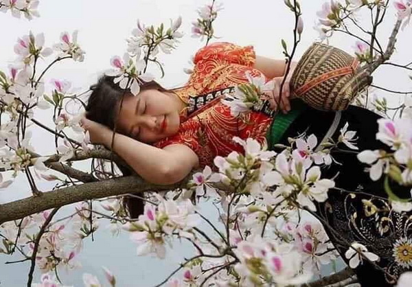 Thiếu nữ dân tộc nằm ngủ trên cây