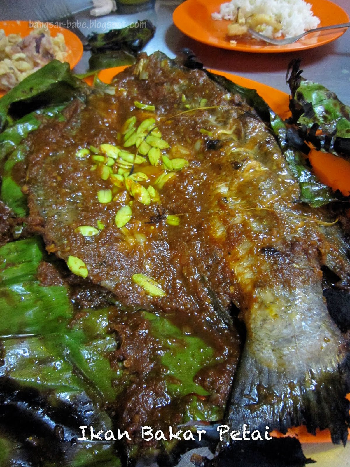 Resepi Ikan Bakar Chinese Style
