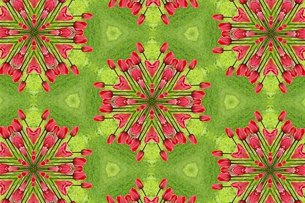 Create a Kaleidoscope Pattern in Photoshop