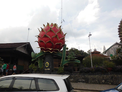 Warso Durian Farm 