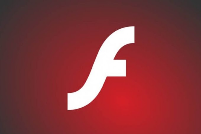 macro media flash