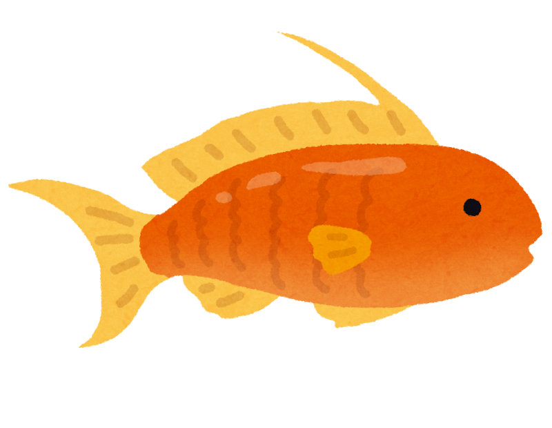 無料イラスト かわいいフリー素材集 キンギョハナダイのイラスト 熱帯魚