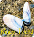 Windy Island