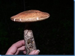 P1200523