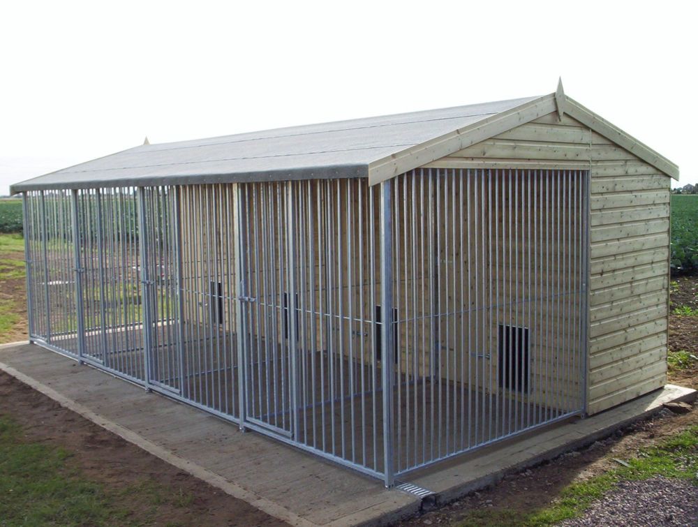 ... outdoor dog kennels 1296 x 968 439 kb jpeg used dog kennels sale 802