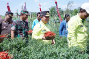  Alharis Panen Cabe Mementum Pembangunan Pertanian.