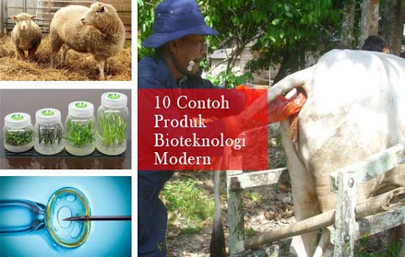 Bioteknologi Modern : 11 Contoh Produk dan Penerapannya