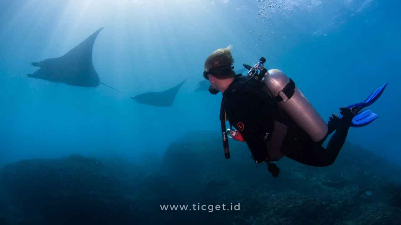 Pakej pelancongan ke Bali. Bali, sebuah pulau yang terkenal dengan kecantikan alamnya, budayanya yang kaya, dan pantainya yang menakjubkan, telah menjadi destinasi pelancongan yang sangat popular di kalangan pelancong antarabangsa.  menawarkan pelbagai aktiviti menarik, penginapan mewah, dan pengalaman budaya yang unik. Dalam artikel ini, kita akan menyelami keunikan pakej pelancongan ke Bali serta mengenal pasti faktor-faktor yang menjadikan destinasi ini begitu menarik.